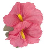 Roze Haarclip, Verzenden, Nieuw