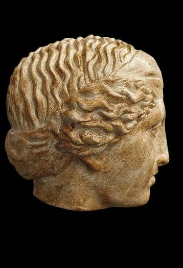 Sculpture, Testa di Venere - 34 cm - poudre de marbre, Antiquités & Art