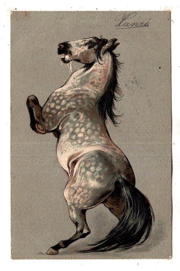 Collectie Paarden 1900-1925 veel gesigneerd - Ansichtkaart