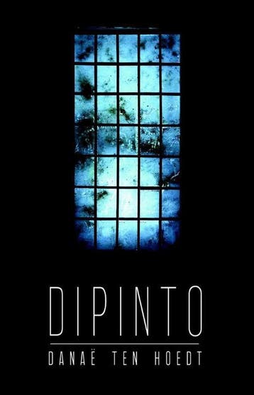 Dipinto / Martelli / 1 9789463080576 Danaë ten Hoedt, Verzenden, Danaë ten Hoedt