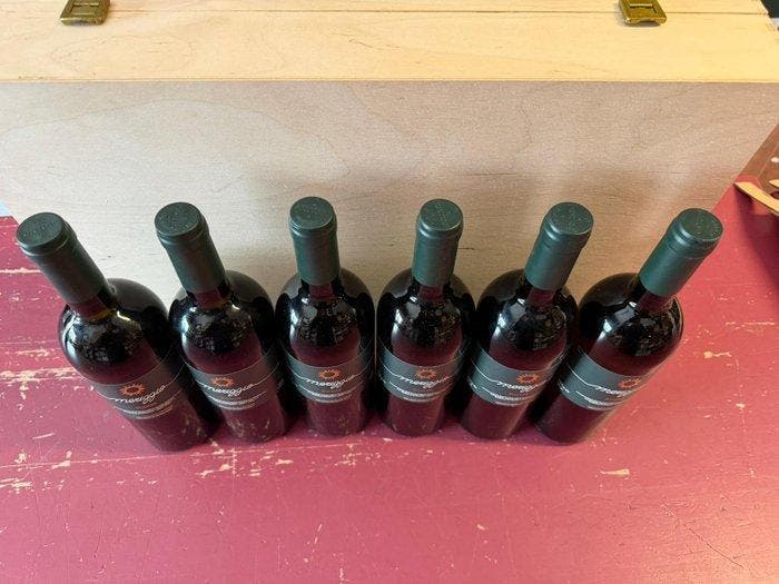 2020 Fontodi, Sauvignon Meriggio - Toscane - 6 Flessen, Collections, Vins