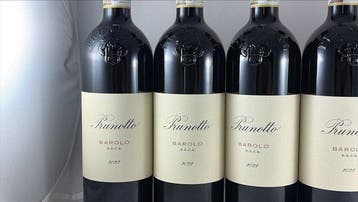 2022 Prunotto - Barolo - 6 Flessen (0.75 liter), Verzamelen, Nieuw