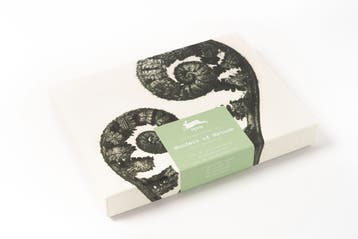 Wonders Of Nature | Pepin Roojen | Nieuw, Verzenden, Pepin Roojen