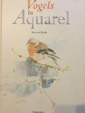 VOGELS IN AQUAREL 9789021320601 K. de Kiefte, Verzenden, Gelezen, K. de Kiefte