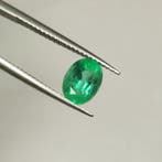 1 pcs Vert Émeraude - 1.68 ct - International Gemological, Nieuw