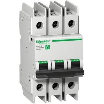 Disjoncteur Schneider Electric - M9F42310, Verzenden, Nieuw