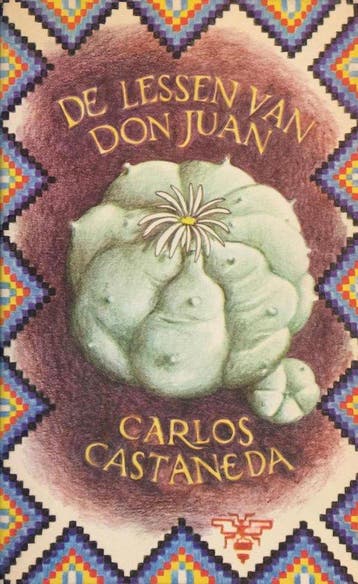 Lessen Van Don Juan - Castaneda, Boeken, Verzenden, Nieuw