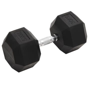 vidaXL Halters 30 kg gietijzer, Sport en Fitness, Verzenden, Nieuw
