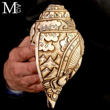 Antieke Hindu Shankha-schelp - Handgesneden snijwerk