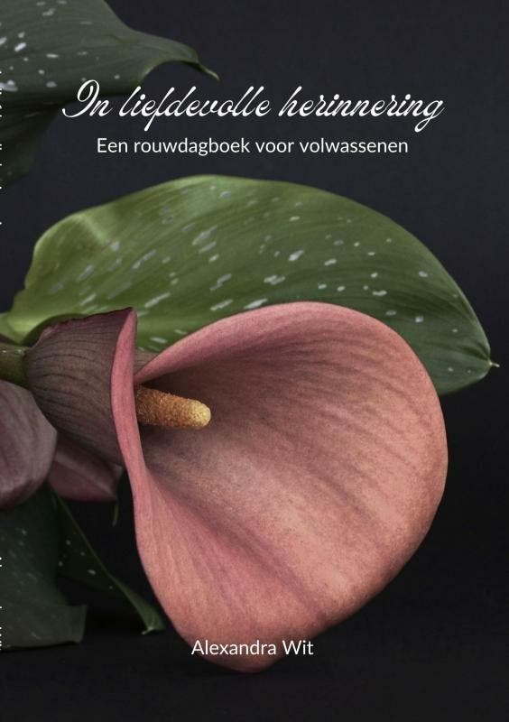 In liefdevolle herinnering 9789403729923 Alexandra Wit, Livres, Science, Envoi