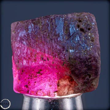 Natuurlijke zeldzame Padparadscha-saffier – Ruwe kristal met