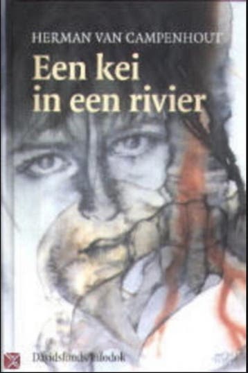 Een kei in een rivier / Davidsfonds/Infodok-jeugd, Verzenden, Gelezen, H. van Campenhout