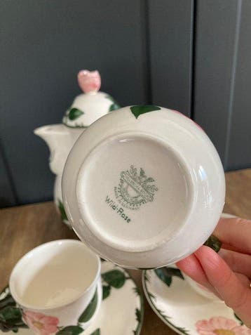 Villeroy & Boch - Kop en schotel (15) - Wild-Rose -