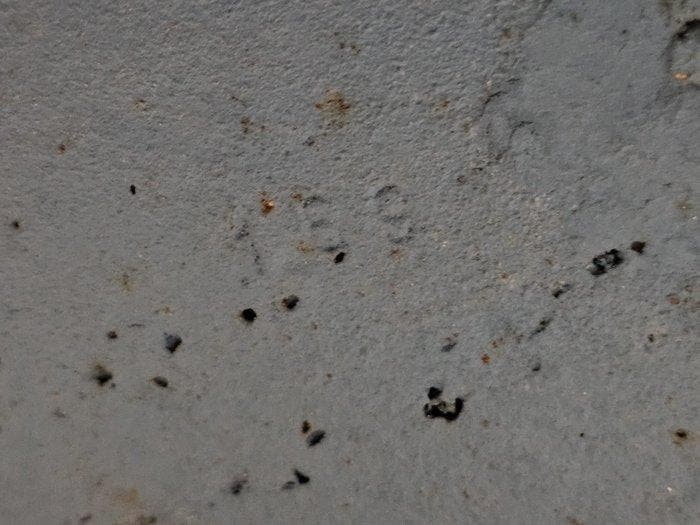 Goffredo Reggiani - Gebogen vloerlamp - Chroom, Metaal -, Antiek en Kunst, Antiek | Verlichting