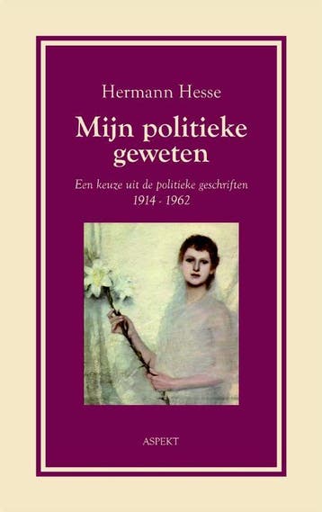 Mijn politieke geweten 9789059115156 Hermann Hesse, Boeken, Verzenden, Zo goed als nieuw, Hermann Hesse