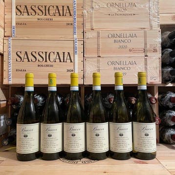 2025 Villa Bucci, Verdicchio Classico dei Castelli di Jesi -, Nieuw