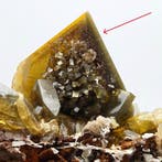 GROTE HONINGKLEURIGE BARIET, ENORME KRISTALLEN, MET, Verzamelen, Mineralen en Fossielen