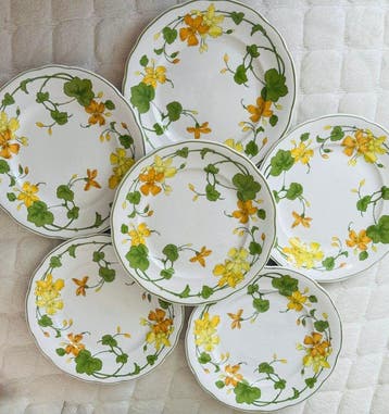 Villeroy & Boch - Schotel (6) - Geranium - Porselein