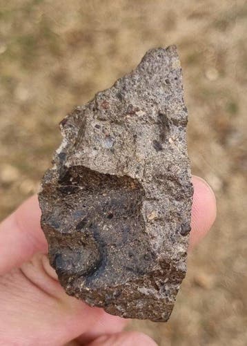 NWA 17153 - Brèche polymictique eucrite (Fragment