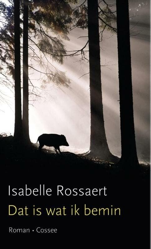 Dat is wat ik bemin (9789059366015, Isabelle Rossaert), Boeken, Romans, Nieuw, Verzenden