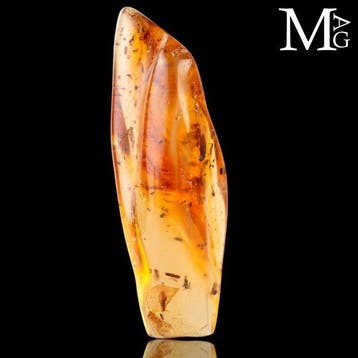 Specimen van kopal - natuurlijk - jonge amber Copal -