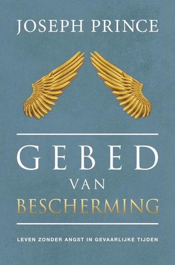Gebed van bescherming 9789074115995 Joseph Prince, Boeken, Godsdienst en Theologie, Zo goed als nieuw, Verzenden