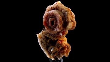 Chalcedoniet - Sidi Rahal, Atlas, Marokko - Hoogte: 11.5 cm