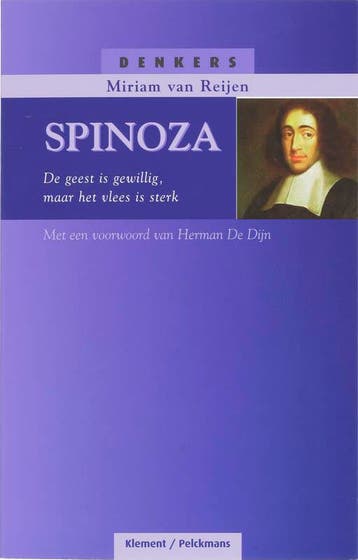 Spinoza / Denkers 9789086870226 M. van Reijen, Verzenden, Gelezen, M. van Reijen