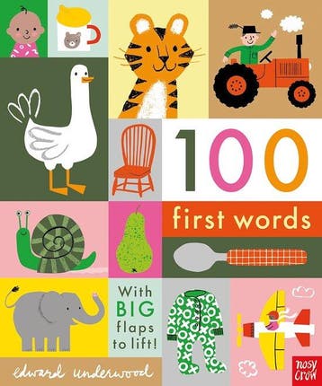 100 First Words 9781788004893 Edward Underwood, Verzenden, Zo goed als nieuw, Edward Underwood