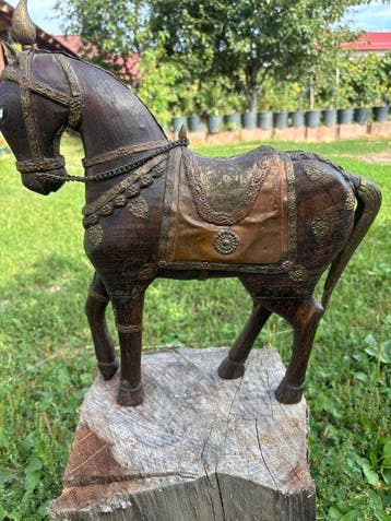 Rajastaanse Marwari ceremonieel paard - India - Eind 20e