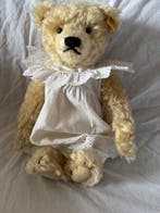 Steiff - Ours en peluche Blonde 000669 33cm - Allemagne, Antiquités & Art