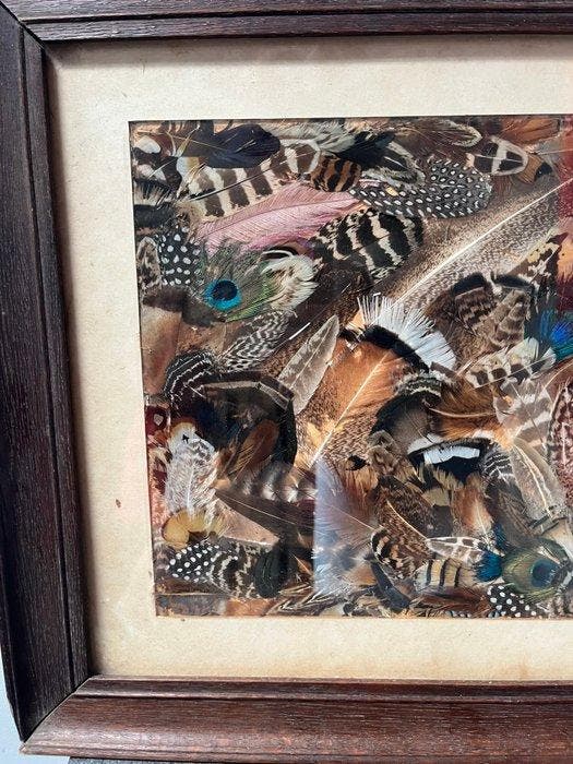 Lijst - pluim, Antiek en Kunst, Curiosa en Brocante