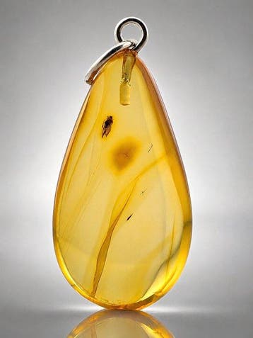 Gouden Baltisch amber sieraden – fossiele LEAFHOPPER &