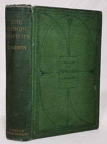 Charles Darwin - The Origin of Species - 1902