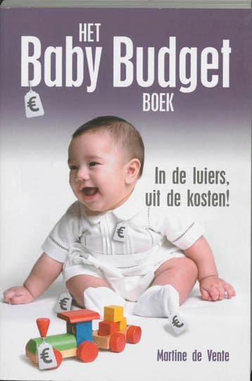 Het baby budget boek 9789045303000 M. de Vente, Verzenden, M. de Vente