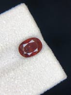 Sans prix de réserve - 1 pcs Orange, Rouge Pierres