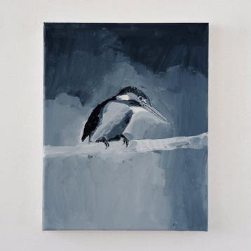 Matthieu van Riel - IJsvogel