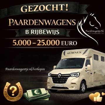 GEZOCHT: PAARDENWAGENS VOOR B-RIJBEWIJS TOT 25.000 EURO, Animaux & Accessoires, Overige typen