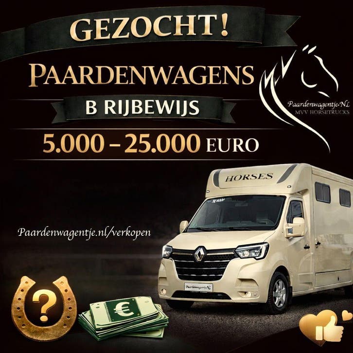 GEZOCHT: PAARDENWAGENS VOOR B-RIJBEWIJS TOT 25.000 EURO, Animaux & Accessoires, Chevaux & Poneys | Semi-remorques & Remorques