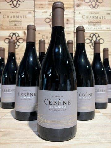 2017 Domaine de Cébène Les Bancèls - Faugères - 12