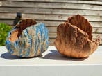 2 stuks Bonsai schalen +- 11x11x11cm - ongeglazuurd - Hoogte