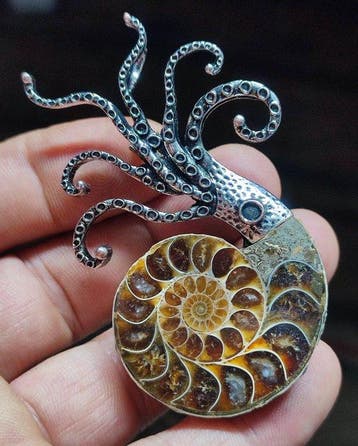 Geen reserveprijs Prachtige ammoniet hanger/broche