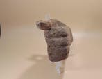 Oude Egypte, Ptolemeïsch Hand van een houten sarcofaag –, Verzamelen
