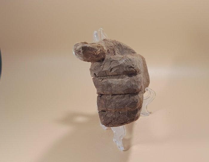 Oude Egypte, Ptolemeïsch Hand van een houten sarcofaag –, Verzamelen, Mineralen en Fossielen