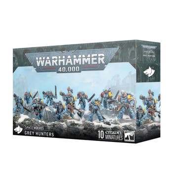 Space Wolves Grey Hunters (Warhammer Nieuw), Ophalen of Verzenden