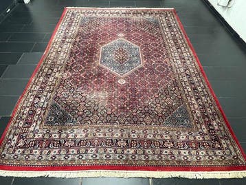 Bidjar - Vloerkleed - 350 cm - 245 cm, Nieuw