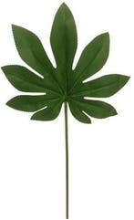 Araliablad Groen 55 cm pak 6 stuks, Nieuw