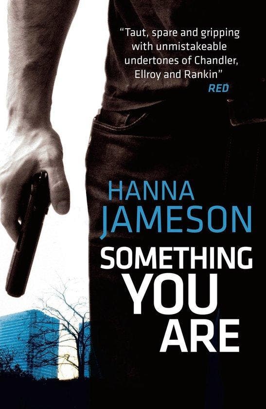Something You Are 9781908800633 Hanna Jameson, Livres, Langue | Anglais, Envoi