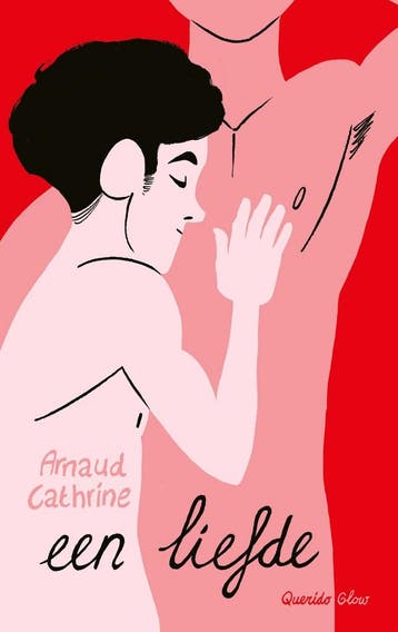 Een liefde (9789045127316, Arnaud Cathrine), Antiek en Kunst, Verzenden
