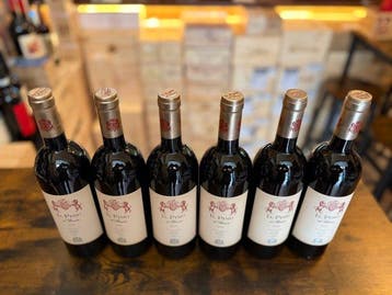 2023 Il Pino di Biserno, Tenuta di Biserno - Toscane IGT - 6, Nieuw